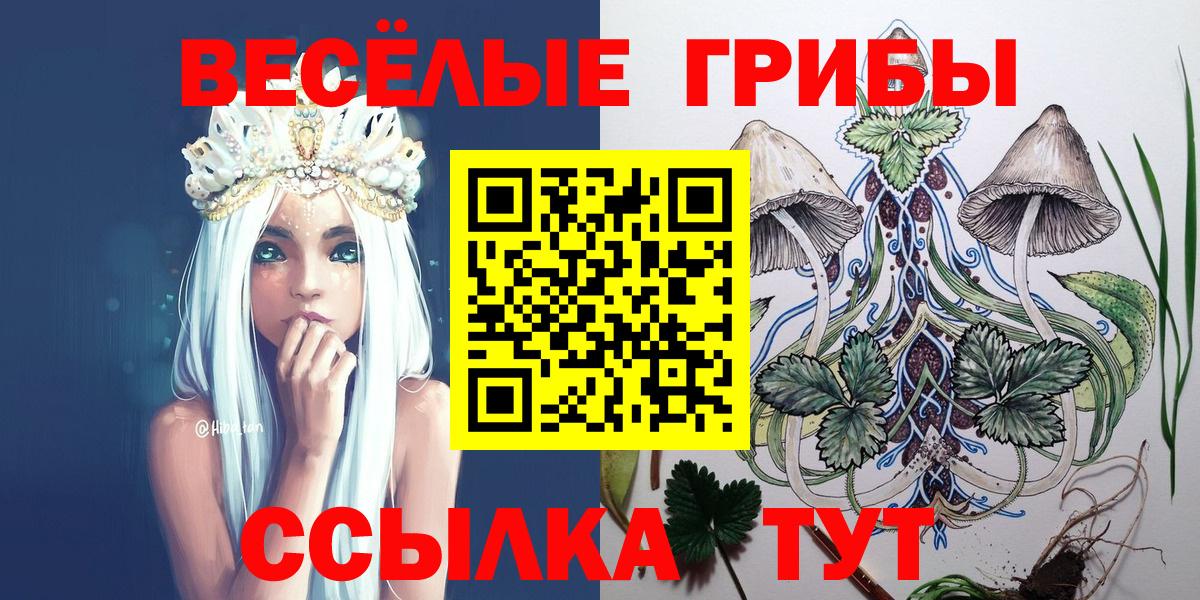 Галлюциногенные грибы прущие грибы  купить наркотики цена  Псилоцибиновые грибы MAGIC MUSHROOMS  Чапаевск  Вход с VPN 