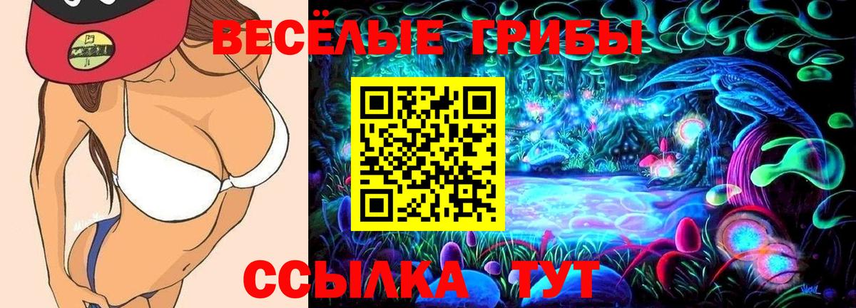 Галлюциногенные грибы Cubensis Чапаевск